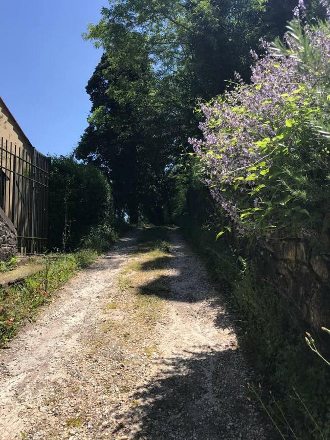 Apartmán Antica Dimora Di Laura Barberino di Mugello Exteriér fotografie