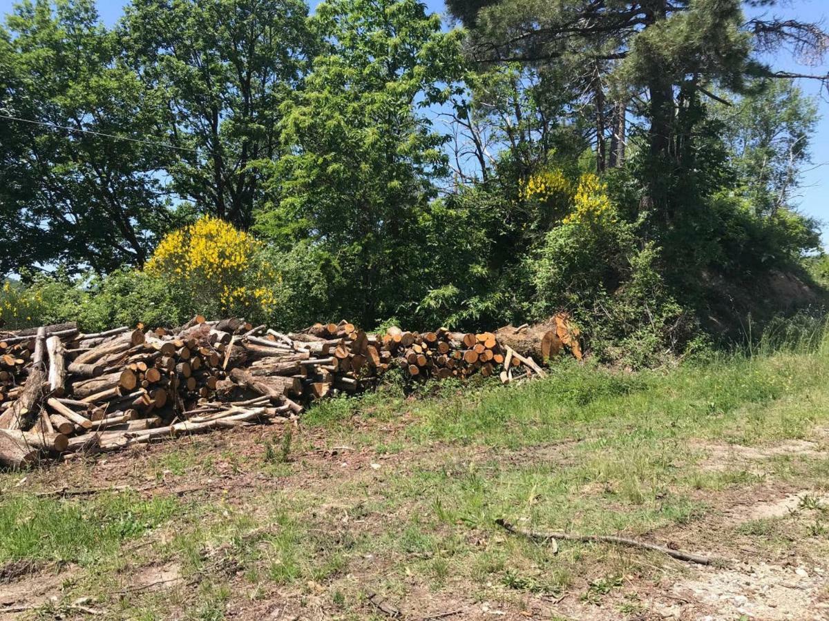 Apartmán Antica Dimora Di Laura Barberino di Mugello Exteriér fotografie