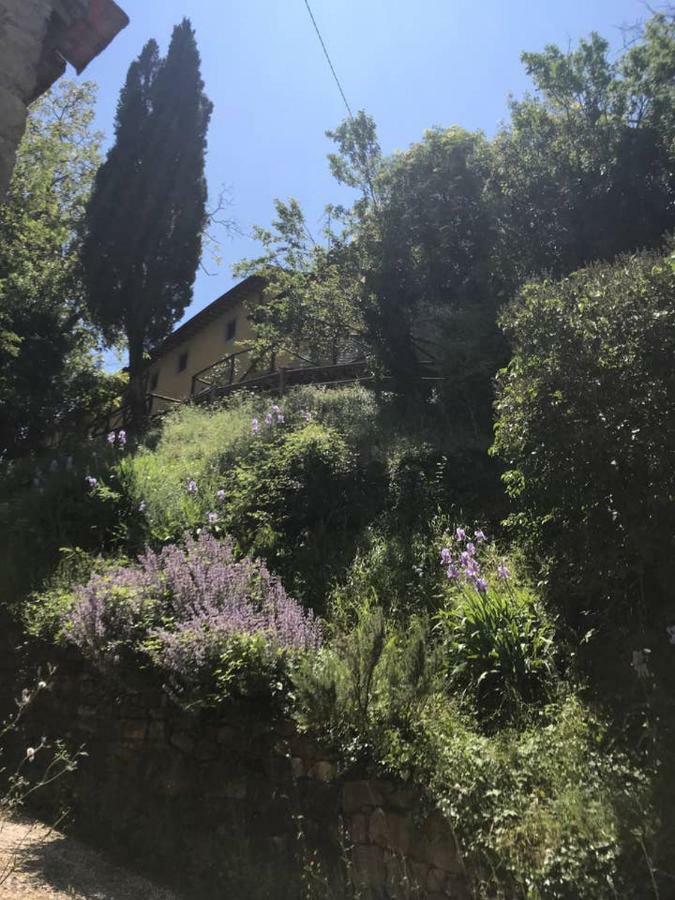 Apartmán Antica Dimora Di Laura Barberino di Mugello Exteriér fotografie