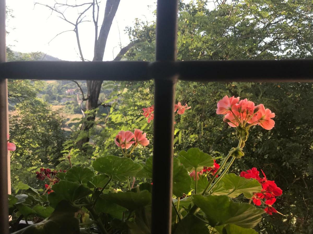 Apartmán Antica Dimora Di Laura Barberino di Mugello Exteriér fotografie